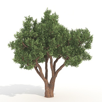 plants green trees big trees landscape trees 3d model