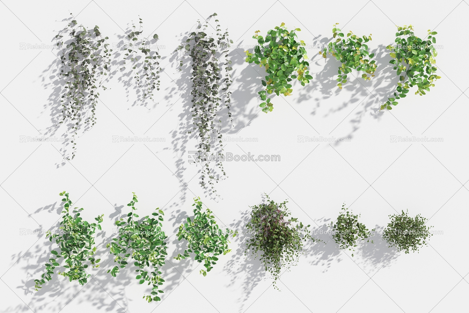 Modern plant hanging plant 3d model