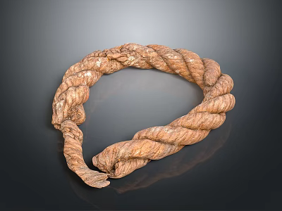 Sturdy Brown Thick Rope With Braided Texture And Loop Shape For Household Use 3d model