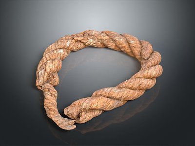 Rope pile rope hemp rope group rope life supplies construction supplies life-saving supplies 3d model