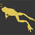 Green Frog With Red Legs Feet Yellow Green Gradient Body Stretching Mid Jump Dark Background