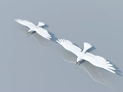 Two White Flying Birds With Spread Wings and Reflections On Smooth Gray Surface 3d model