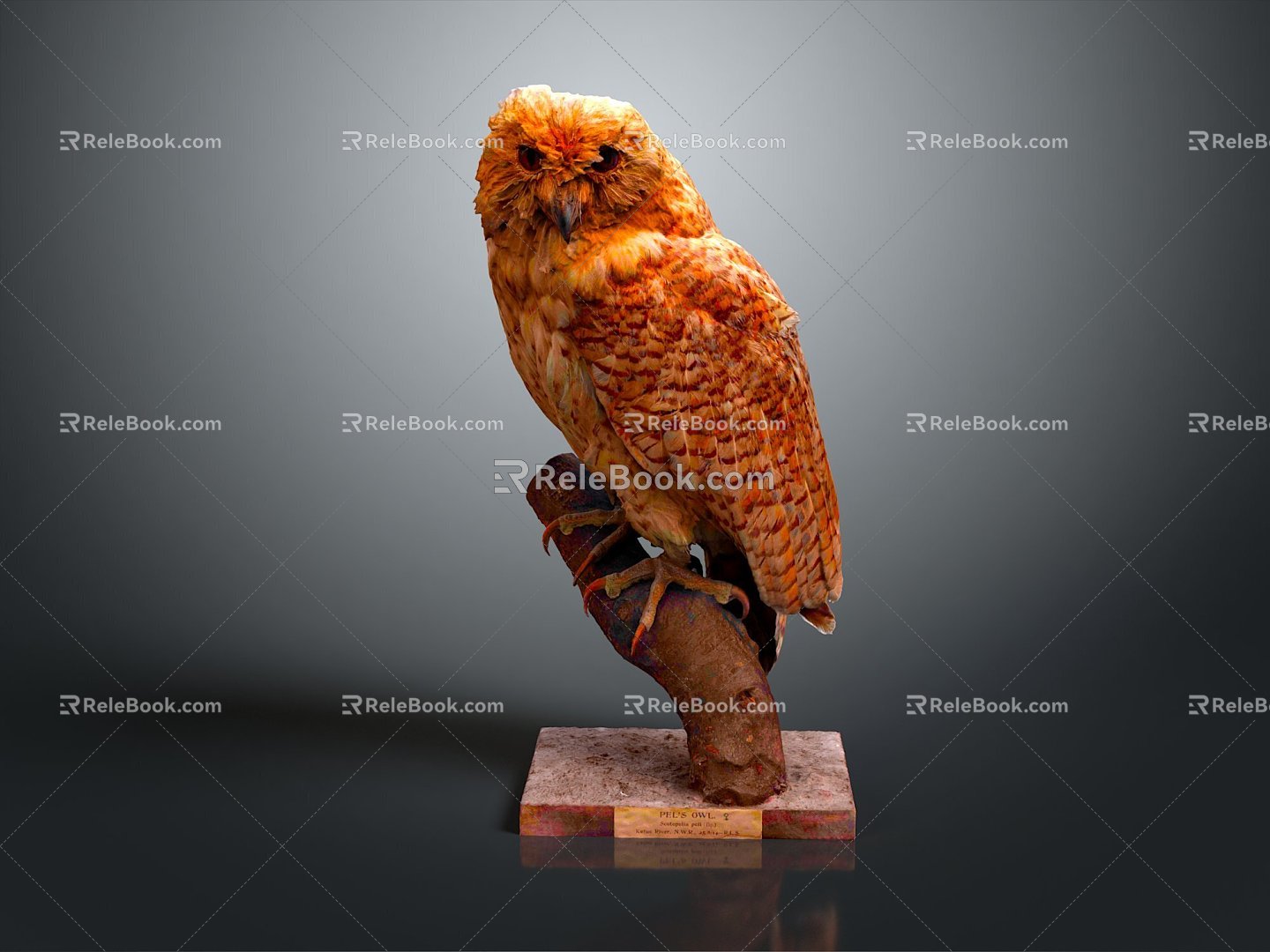 Owl grimace owl long-eared owl wulin owl monkey face owl carved owl 3d model