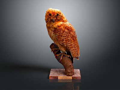 Owl grimace owl long-eared owl wulin owl monkey face owl carved owl 3d model