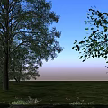 Scenic Cobblestone Road with Green Grass Trees Blue Sky White Clouds and Small Flowers