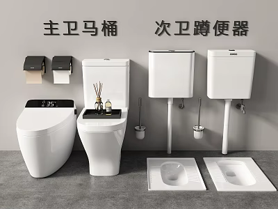 Modern Master Bathroom Toilet and Secondary Bathroom Squat Toilet Setup 3d model
