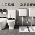 Modern Master Bathroom Toilet and Secondary Bathroom Squat Toilet Setup