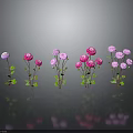 Neatly Arranged Pink And Purple Flowers With Green Stems Leaves On Gray Background With Reflections