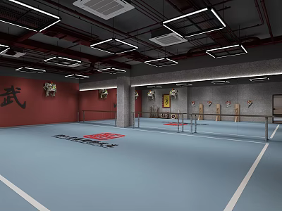 Indoor Martial Arts Training Gym With Red Walls Blue Floor White Lines And Targets 3d model