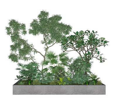 Lush Green Plants in Concrete Planter with Various Trees and Shrubs 3d model