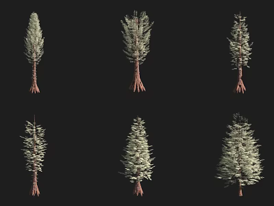 Various Types of Arbor Trees with Different Shapes Isolated on Black Background 3d model