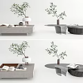Modern Coffee Table Designs With Plant Books And Stylish Decor Elements 3d model