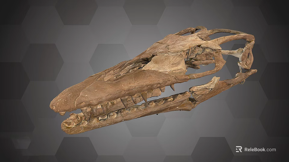 Medical Devices For Orthopedic Research Featuring Skeletal Structure Model 3d model