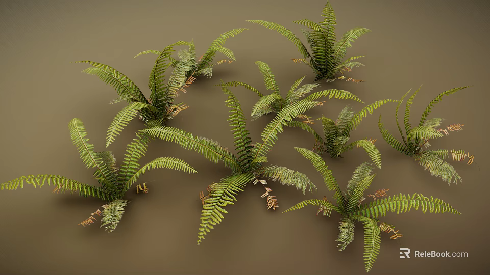 3D Rendered Green Fern Plants With Lush Fronds And Natural Leaf Details 3d model 