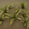 3D Rendered Green Fern Plants With Lush Fronds And Natural Leaf Details