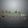 Modern Scene Featuring Palm Trees Stones Round Balls And Decorative 3D Elements