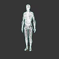 Detailed 3D Game and Film Character Model with Skeletal and Muscular Structure