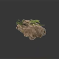 Modern Rock Landscape Decor With Vibrant Green Plants And Artistic Design Elements
