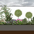 Lush Plant Combination with Round Shrubs Flowering Plants and Vines in Long Rectangular Planter