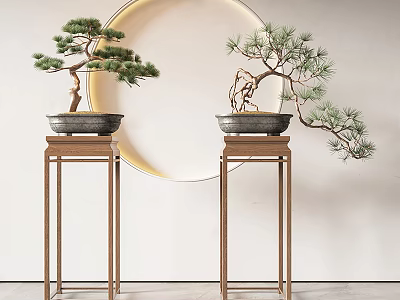 Two Pine Bonsai Trees On Elevated Wooden Stands With Round Decorative Mirror 3d model