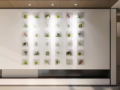 Indoor Feature Wall with Grid Arranged Plant Pots Various Green Plants and Succulents Modern Decorative Design 3d model