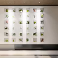Indoor Feature Wall with Grid Arranged Plant Pots Various Green Plants and Succulents Modern Decorative Design