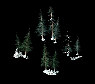 Modern Pine 3d model Modern Pine 3d model