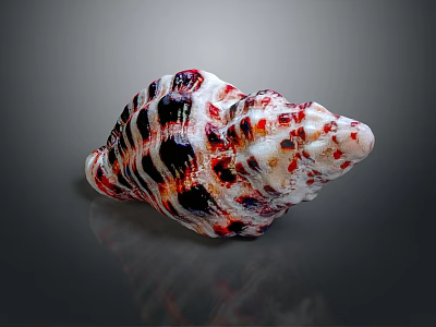 Colorful Conch Shell Decorative Ornament Set With Red Black White Striped Pattern For Home Decor 3d model