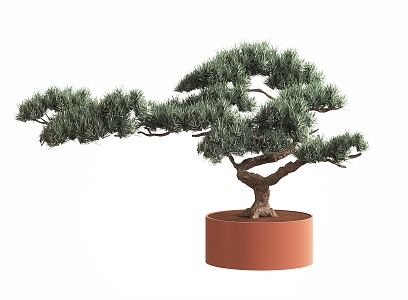 New Chinese-style Pine Tree Potted Plant Bonsai Potted Plant Ornaments Plant Decoration Ornaments Flowers Flower Art 3d model