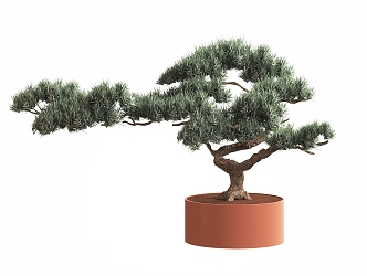 New Chinese-style Pine Tree Potted Plant Bonsai Potted Plant Ornaments Plant Decoration Ornaments Flowers Flower Art 3d model