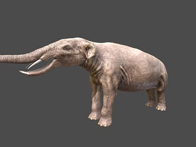 Realistic Gray Elephant 3D Model With Long Trunk Tusks And Detailed Skin Texture 3d model