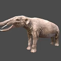 Realistic Gray Elephant 3D Model With Long Trunk Tusks And Detailed Skin Texture