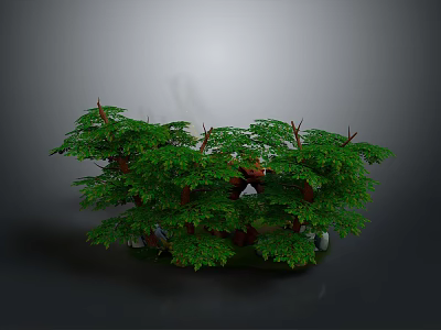 Green Bonsai Plants With Lush Leaves Brown Trunks And Decorative Stones 3d model