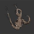Unique Dry Tree With Twisted Trunk And Leafless Branches Natural Texture