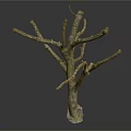 Natural Wooden Tree Trunk With Branches And Green Moss Decorative Element