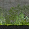 Various Green Plants And Flowers In Small Garden With Grey Wall And Stone Path