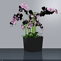 Pink Orchid Bonsai Potted Plant In Dark Geometric Pot On Shiny Surface With White Background