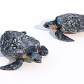 Two Sea Turtles With Spotted Shells And Flippers As Aquatic Animals In View