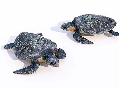 Two Sea Turtles With Spotted Shells And Flippers As Aquatic Animals In View 3d model