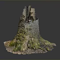 Natural Wooden Stone Stump With Mossy Base And Intricate Surface Texture