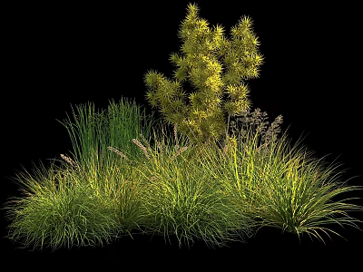 Lush Green Shrub with Clustered Grasses and Varied Plant Foliage in Natural Landscape 3d model