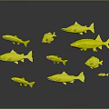 Various Fish Species With Different Colors And Shapes Displayed On Dark Background