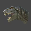 Detailed Tyrannosaurus Rex Head Model With Open Mouth Sharp Teeth And Textured Skin