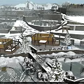 Snowy Garden Landscape With Yellow Buildings Pine Trees And Frozen Pond