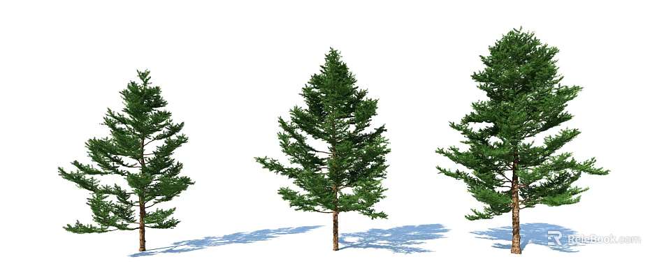 Three Green Trees with Straight Trunks and Lush Foliage Casting Shadows 3d model