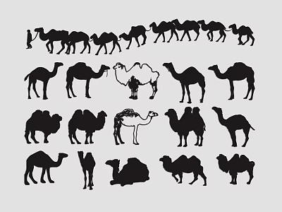 Various Black Camel Silhouettes With Diverse Poses On Gray Background 3d model