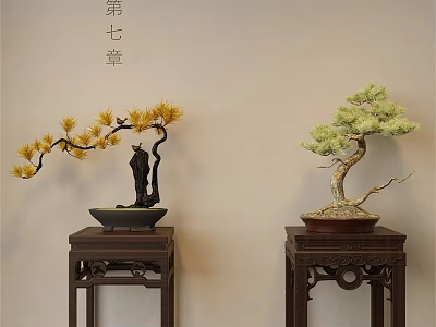 Traditional Bonsai Plants on Wooden Stands with Yellow and Green Foliage against Light Wall Background 3d model