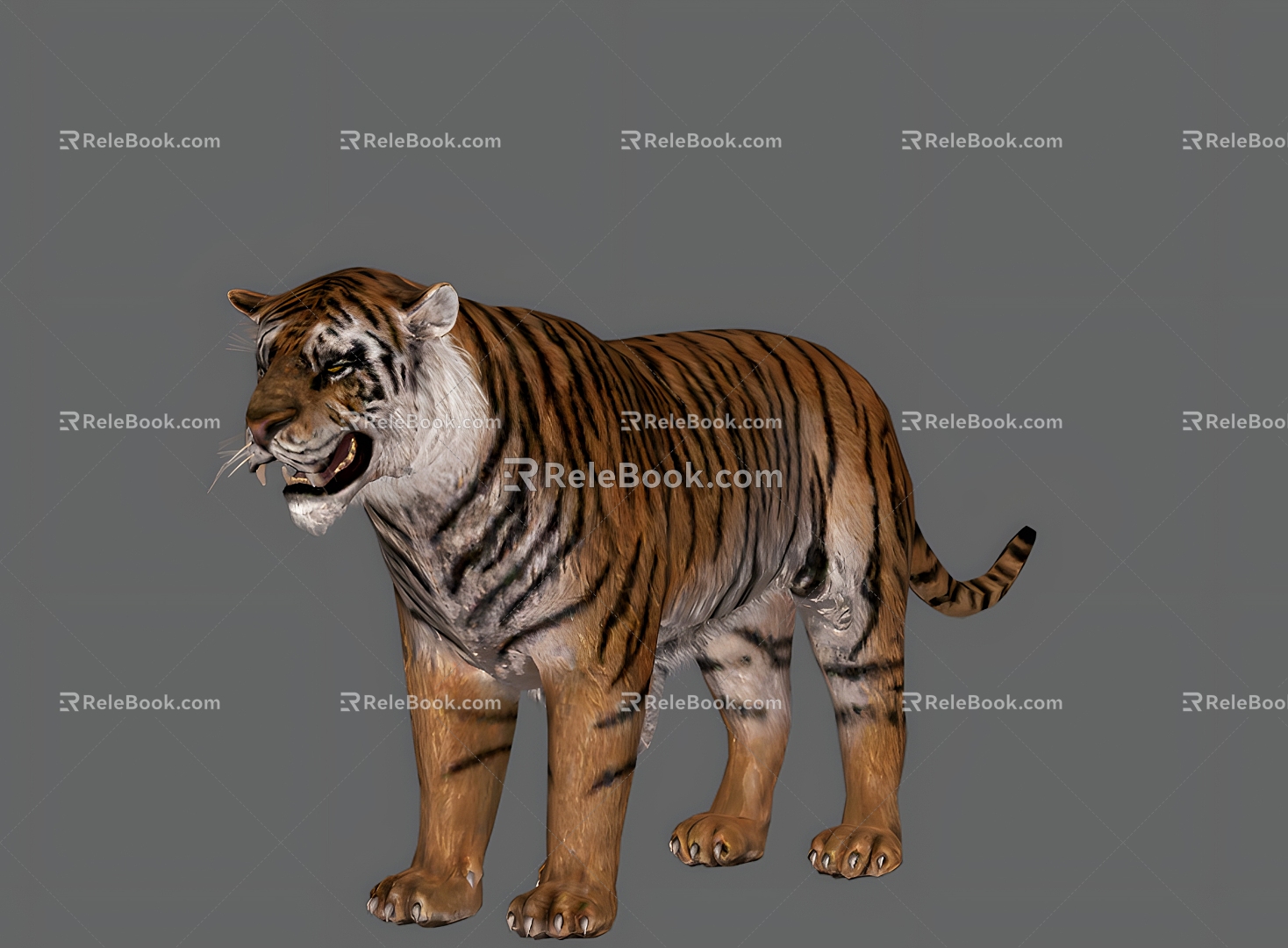 Tiger Animal King of Beasts Tiger Amur Tiger Reptile Beast 3d model