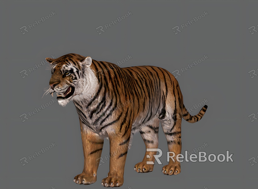 Tiger Animal King of Beasts Tiger Amur Tiger Reptile Beast model