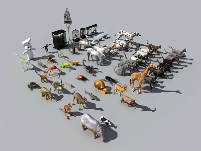 Reptile Models Collection Featuring Various Animal Figurines And Display Setup 3d model